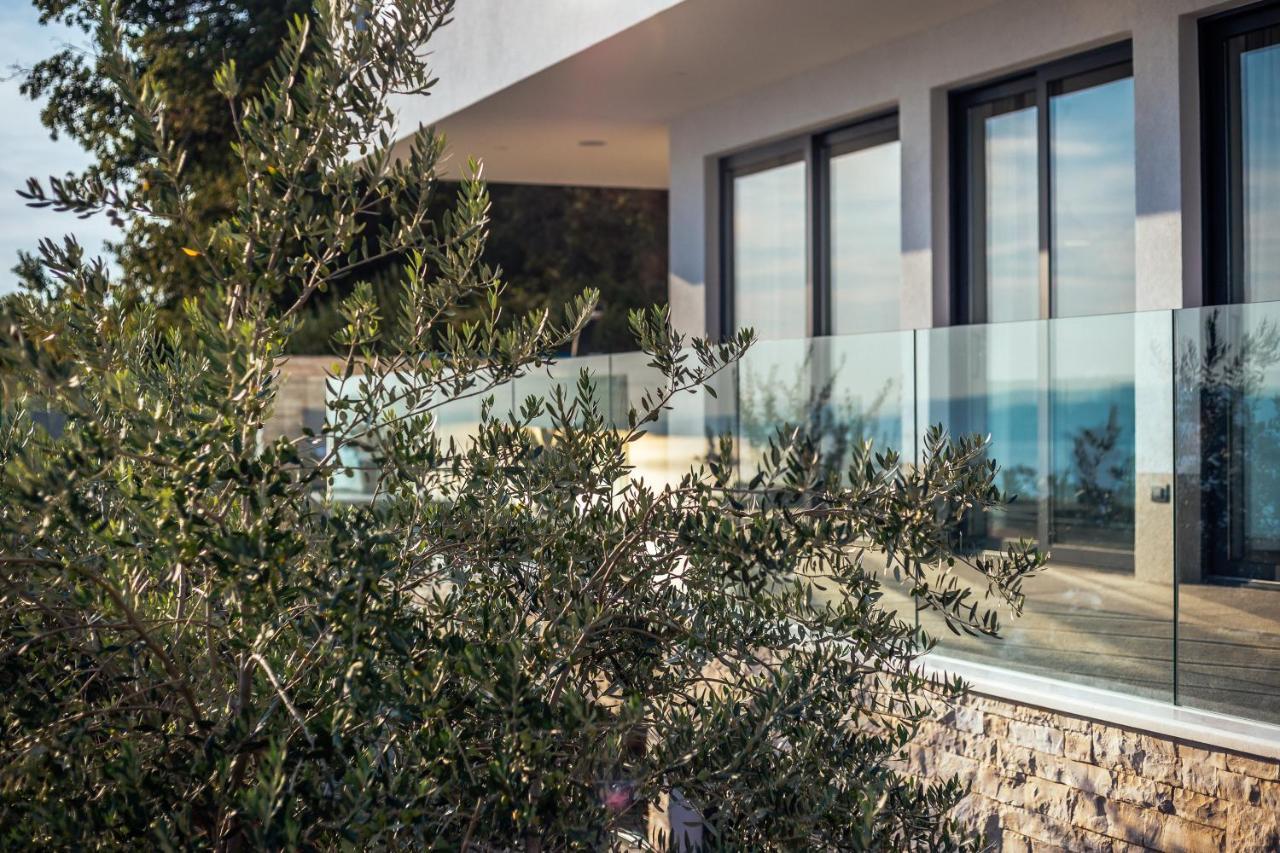 Villa Dispet With Heated Pool, Jacuzzi, Sauna And Cinema Celina Εξωτερικό φωτογραφία